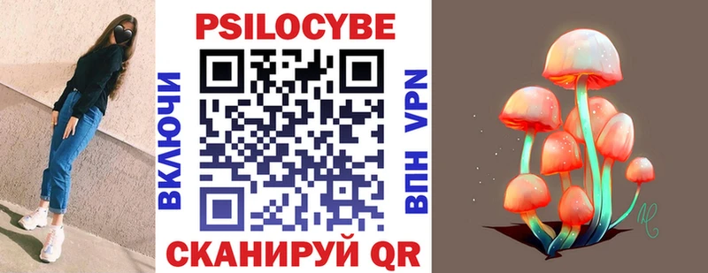 как найти   Новочебоксарск  Псилоцибиновые грибы Cubensis 