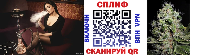 купить наркотик  Новочебоксарск  блэк спрут как зайти  Шишки марихуана ГИДРОПОН 